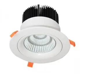 LED Downlight Tiltable 50W COB
