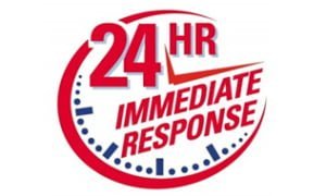 prompt_reply_service_in_24hours_maxbluelighting