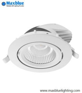 6 inch Swivel Scoop Downlight