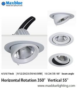 rotatable gimbal downlight