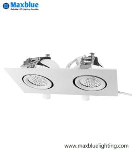 double head trimless gimbal lighting fixture