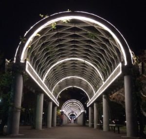 neon led lighting strip